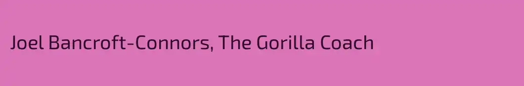 Joel Bancroft-Connors, The Gorilla Coach